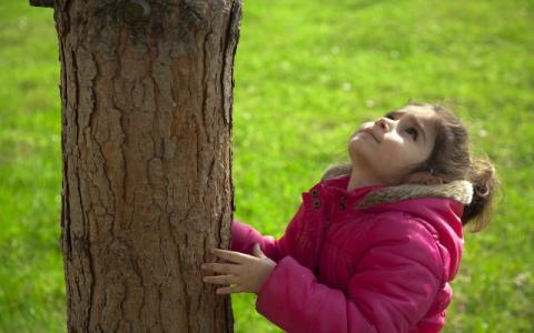 immagine di bambina che tocca il tronco di un albero per evocare il tema dei diritti dei bambini e l'ambiente, al centro del Commento generale n. 26 pubblicato dal Comitato delle Nazioni Unite sui diritti dell’infanzia