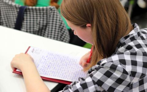 immagine di ragazza che scrive per evocare il tema dellle scuole inclusive per alunni con disabilità