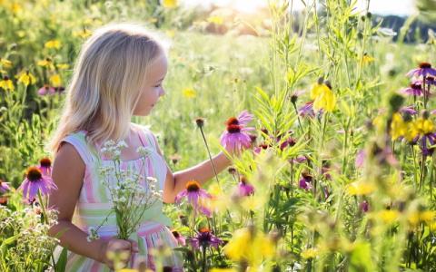 bambina che raccoglie fiori