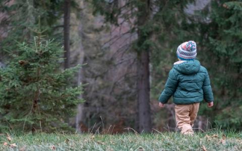 bambino che cammina da solo in un bosco