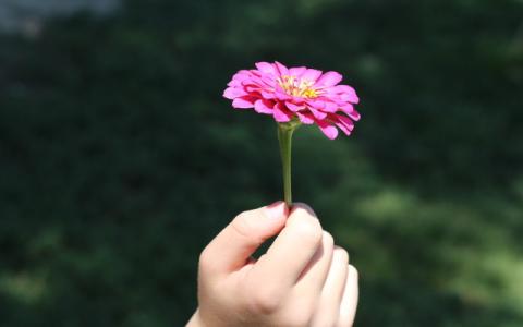 immagine di bambino che tiene in mano un fiore per evocare il tema del rapporto tra l’educazione dei giovani e la difesa dell’ambiente, al centro della manifestazione Giornate Educazione Ambiente