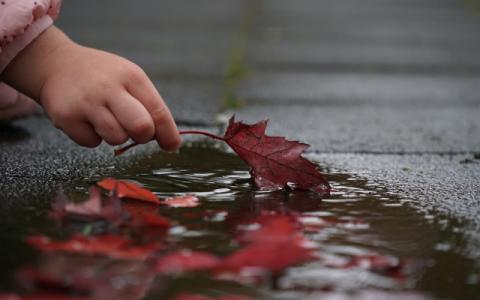 bambina che raccoglie una foglia per evocare il tema della tutela dell’ambiente e del clima al centro della pubblicazione #Save the Future. Gli sguardi dei bambini sul clima