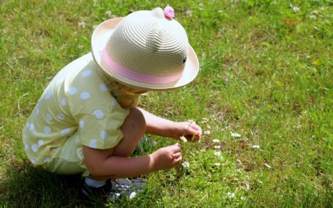 bambina che raccoglie le margherite