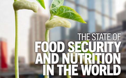 cover del rapporto The State of Food Security and Nutrition in the World 2023