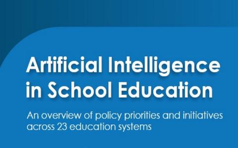 copertina del rapporto Agile Collection of Information  