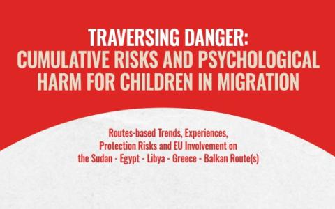 copertina del rapporto Traversing danger