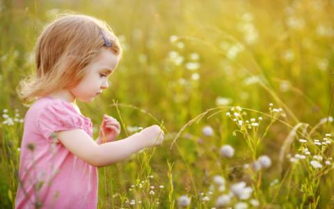 bambina che raccoglie fiori in un prato