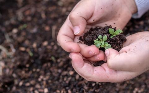 bambino che raccoglie una piantina per evocare il tema diritti dei minorenni e ambiente al centro del Commento generale n. 26 sui diritti delle persone minorenni e l’ambiente del Comitato Onu sui diritti dell’infanzia