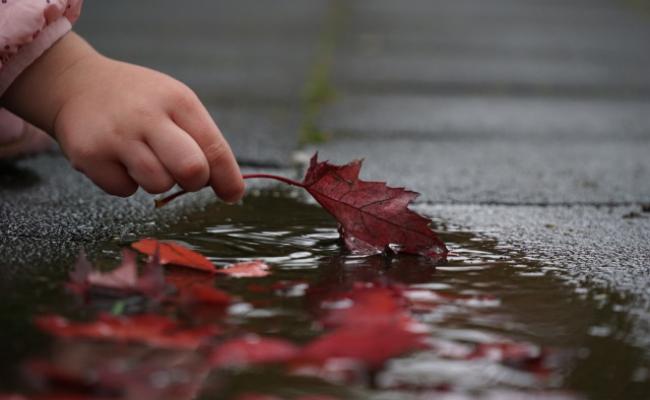 bambina che raccoglie una foglia per evocare il tema della tutela dell’ambiente e del clima al centro della pubblicazione #Save the Future. Gli sguardi dei bambini sul clima