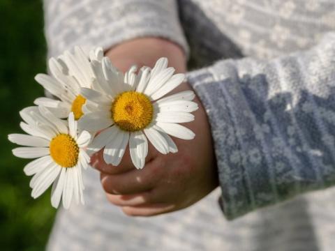 immagine di bambino che regala delle margherite per evocare il tema della cultura del dono al centro del protocollo d'intesa siglato dal Ministero dell’istruzione e del merito e dall’Istituto italiano della donazione