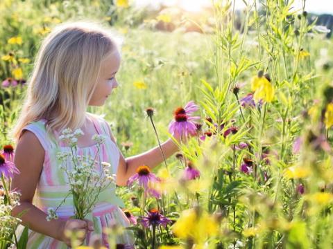 bambina che raccoglie fiori