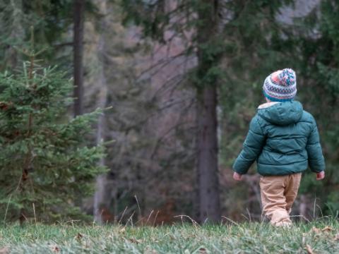 bambino che cammina da solo in un bosco
