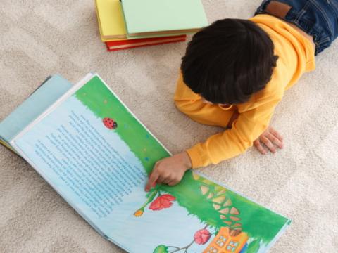 immagine di bambino che legge per evocare il tema della Giornata nazionale per la promozione della lettura