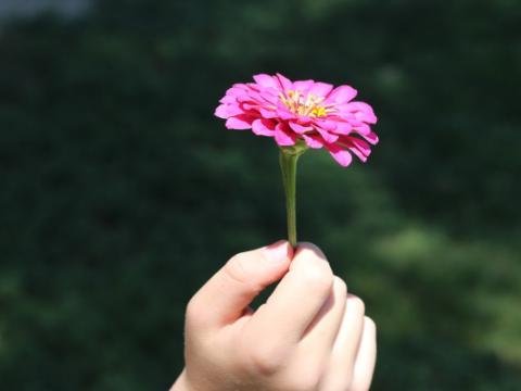 immagine di bambino che tiene in mano un fiore per evocare il tema del rapporto tra l’educazione dei giovani e la difesa dell’ambiente, al centro della manifestazione Giornate Educazione Ambiente