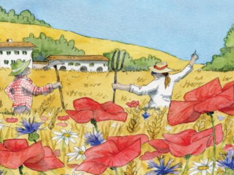 cover dell'albo illustrato Forte come il sole