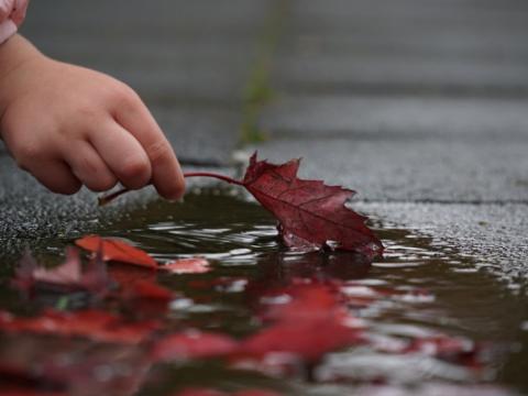 bambina che raccoglie una foglia per evocare il tema della tutela dell’ambiente e del clima al centro della pubblicazione #Save the Future. Gli sguardi dei bambini sul clima