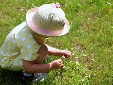 bambina che raccoglie le margherite
