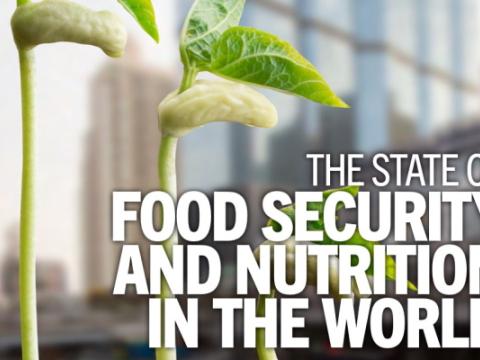 cover del rapporto The State of Food Security and Nutrition in the World 2023