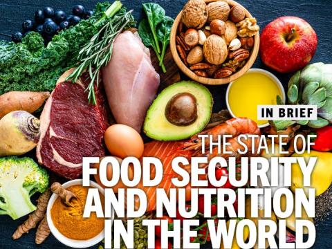 copertina del rapporto The State of Food Security and Nutrition in the World 2026
