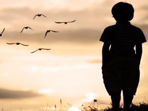 bambino solo che guarda l'orizzonte