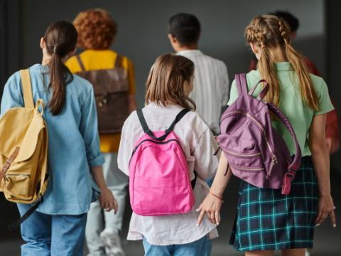 studenti di spalle che entrano in classe