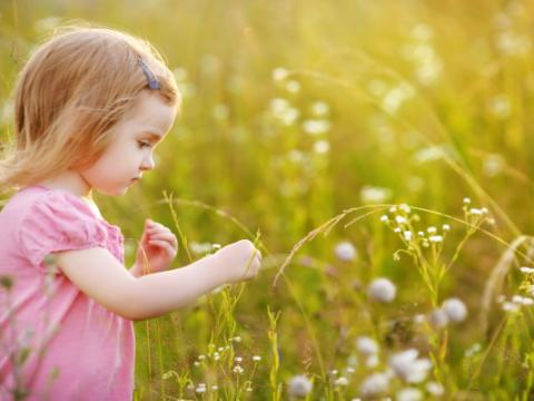 bambina che raccoglie fiori in un prato