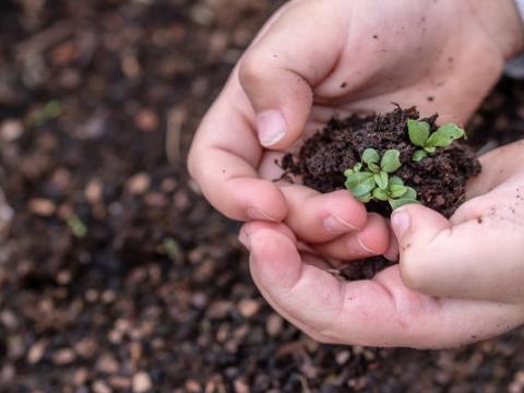 bambino che raccoglie una piantina per evocare il tema diritti dei minorenni e ambiente al centro del Commento generale n. 26 sui diritti delle persone minorenni e l’ambiente del Comitato Onu sui diritti dell’infanzia