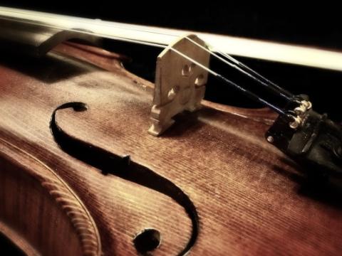 violino